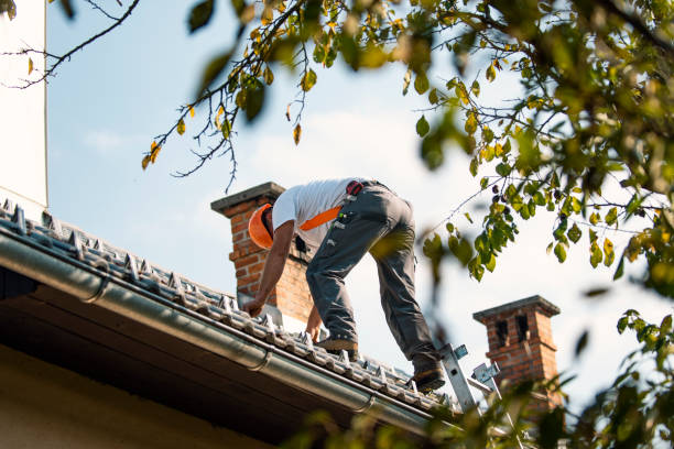 Best Storm Damage Roof Repair  in Ellicott City, MD